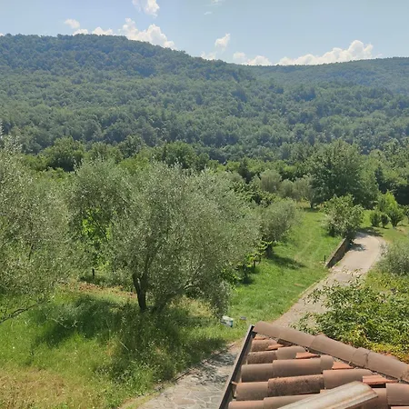 Stone House Apartment, Olive Grove & Valley View, Istria Apartma
