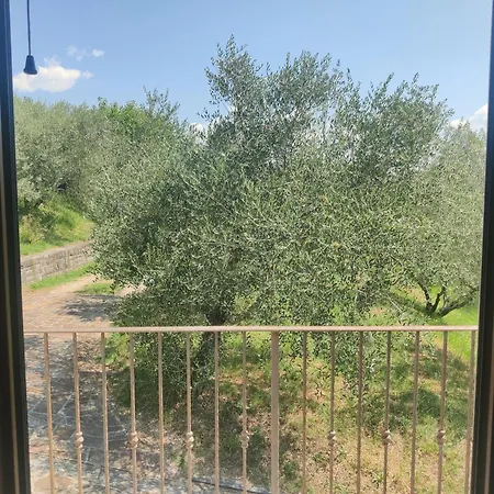 Stone House Apartment, Olive Grove & Valley View, Istria *
