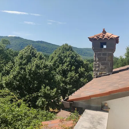 Stone House Apartment, Olive Grove & Valley View, Istria Apartma