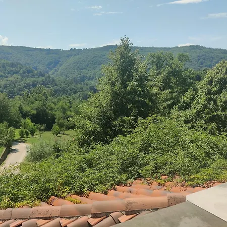 Stone House Apartment, Olive Grove & Valley View, Istria * Smarje (Koper)