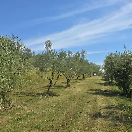 Apartma Stone House Apartment, Olive Grove & Valley View, Istria Smarje (Koper)