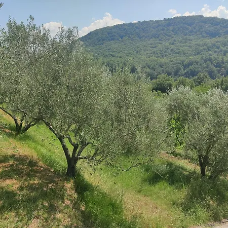 Stone House Apartment, Olive Grove & Valley View, Istria Apartma Smarje (Koper)
